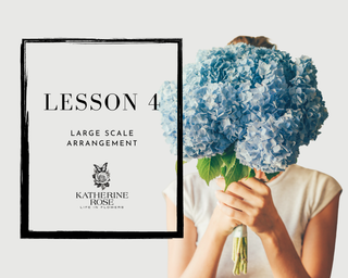 Lesson 4 Large Scale Arrangement
