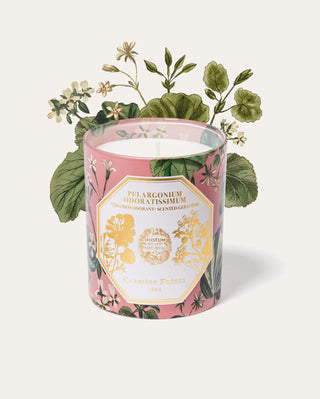 Museum range - geranium candle